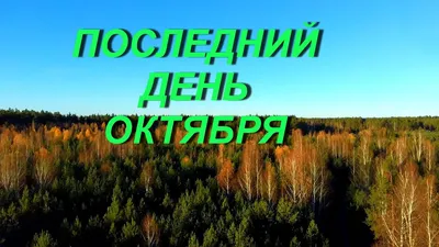 В последний день октября в Белгороде резко похолодает - Новости Белгорода