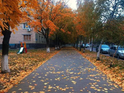 Штормовые предупреждения объявлены почти во всех регионах в последний день  октября - 30.10.2022, Sputnik Казахстан