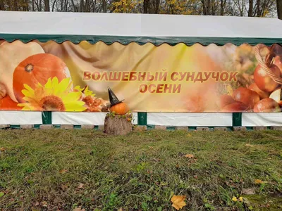 Для подруги! Последний день октября! #доброе_утро_хорошего_вам_дня #👋... |  TikTok