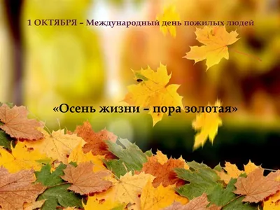 ГТРК \"Смоленск\". Новости. В последний день октября смолян ждут заморозки
