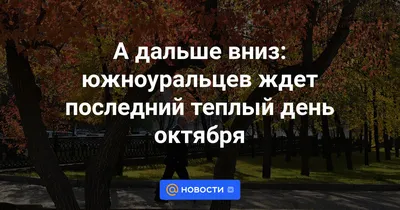 В последний день октября в Москве обещают облачную, но не дождливую погоду.  Днём воздух прогреется до +7..9°. #всеомоскве #москва #погода… | Instagram