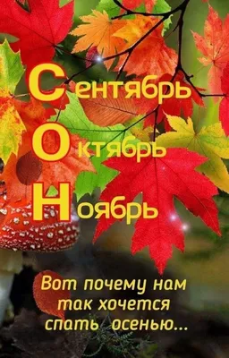 Кошка на заборе и последний день октября! – заказать на Ярмарке Мастеров –  PH7O8RU | Картины, Шуя
