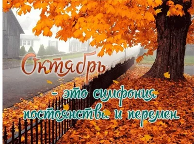 🍁🍂1 октября - замечательная дата в календаре, прекрасная возможность…:  batetsky_glava — LiveJournal