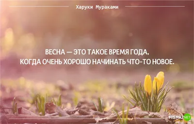 ДОБРОЕ УТРО весна красивые открытки картинки утренние сообщения цитаты  #доброеутро | Открытки, Весна, Доброе утро