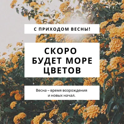 картинки : дерево, растение, девушка, волосы, цветок, портрет, модель, весна,  леди, Розовый, блондинка, Флора, Выражение лица, улыбка, цветы, лицо,  платье, Глаз, глава, Кожа, Красоту, Светлый, Флористика, Обольщение,  Портретная фотография 3888x2592 - -