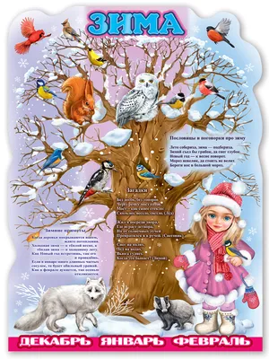 Пословицы и поговорки о зиме с картинками для детей