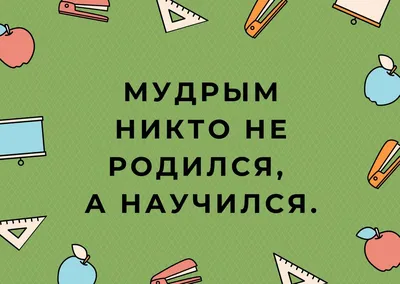 Толковый словарь пословиц и поговорок русского языка\" Татьяна Розе -  «Полезное издание для детей и взрослых. » | отзывы