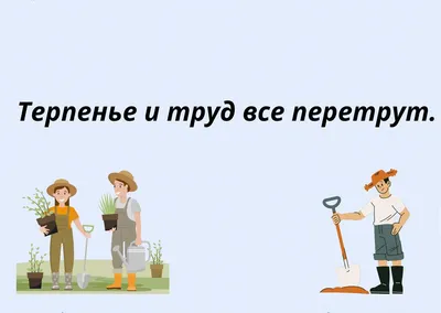 Пословицы о русском языке в картинках фотографии