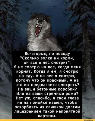 Лэпбук для дошкольников «Зима» (2 фото). Воспитателям детских садов,  школьным учителям и педагогам - Маам.ру