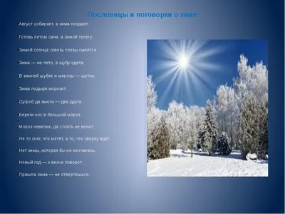 Фотограф Настя Даринина.\"Зима в лесу\". Обсуждение на LiveInternet -  Российский Сервис Онлайн-Дневников