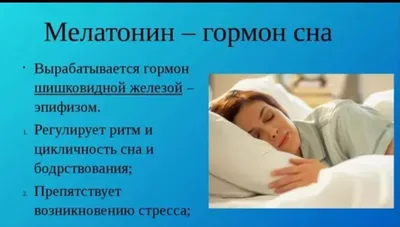 7 декабря отмечается День любителей поспать Щас бы в кроватку, а не вот это  всё🥹 | Подслушано в Озёрске | ВКонтакте