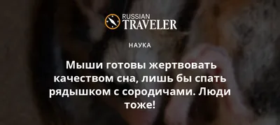 Что, если бы людям никогда не нужно было спать? | Безумие фантазии | Дзен