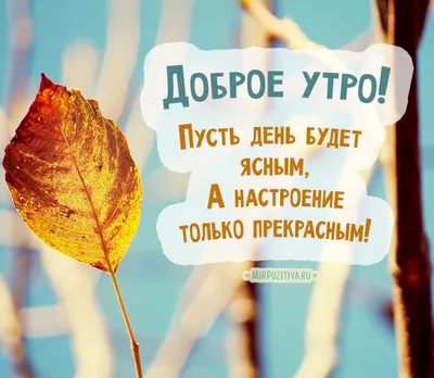 Видео «С добрым утром, любимая» создать онлайн на Slide-life.ru