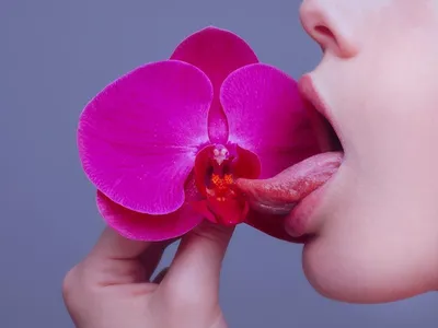 Поза цветущая орхидея - красивые фото