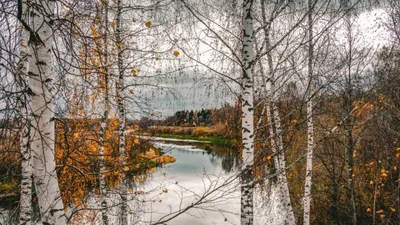 Поздняя осень. Фотограф Александр
