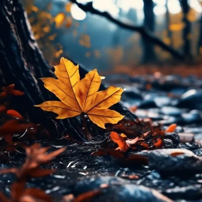 Поздняя осень :: Николай Андреев – Социальная сеть ФотоКто