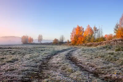 Поздняя осень. Фотограф Сергей Шабуневич