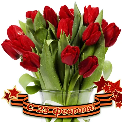 Поздравить любимого с 23 февраля в Вацап или Вайбер - С любовью,  Mine-Chips.ru