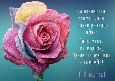 Поздравление с 8 марта 2021: пожелания в прозе, стихах и открытках для  жены, мамы, любимой — Украина