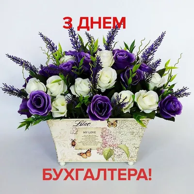 Поздравляем с Днем бухгалтера! - Костромской Государственный Университет