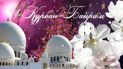 Курбан-байрам или Ид-аль-адха в красивый праздник поздравления курбан ба...  | Открытки, Праздник, Видео