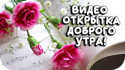 ❤️❤️❤️ Доброе утро, любимая ❤️❤️❤️ Самое красивое пожелание С ДОБРЫМ УТРОМ  для ЛЮБИМОЙ! - YouTube