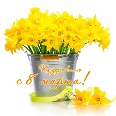 Открытка-поздравление \"8 Марта цветы\", 2 шт, набор номер №1 — купить в  интернет-магазине по низкой цене на Яндекс Маркете