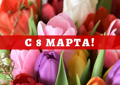 Цветы всем женщинам на 8 марта! – МГЦАО