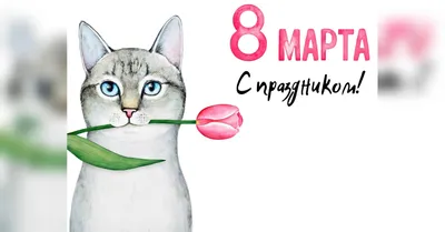 Прикольное поздравление с 8 марта от Винни — Видео | ВКонтакте