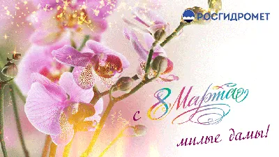 Праздничное поздравление по случаю Международного женского дня – 8 Марта »  Жиззах вилояти ҳокимлиги расмий ахборот сайти