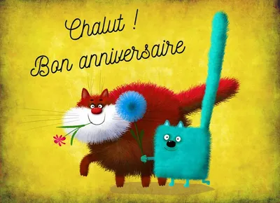 Поздравления с нотками романтики в День рождения французского языка
