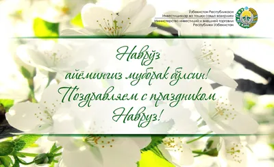 Zira Media - С праздником Навруз! Happy Nowruz! Напишите нам поздравления  на свой родной язык ❤ | Facebook