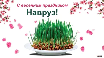 Поздравляем партнеров и коллег с наступающим праздником Наурыз! | Компания  UTTC