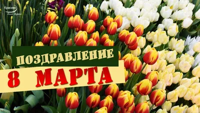 С ПРАЗДНИКОМ 8 МАРТА! Весенние цветы и красивое поздравление от всей души!  - YouTube