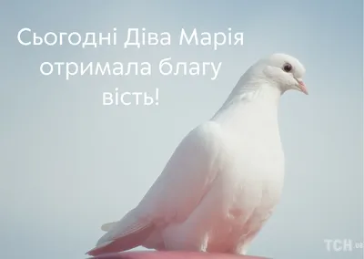 Поздравления с благовещением пресвятой богородицы в картинках фотографии