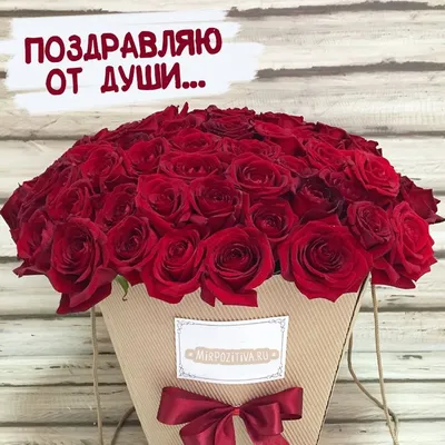 огромный букет красных роз | С днем рождения, Поздравительные открытки,  Букет на день рождения