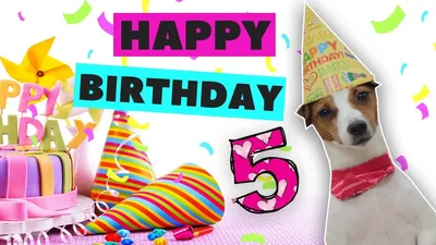 Открытки с Днём рождения с собаками: 65 картинок
