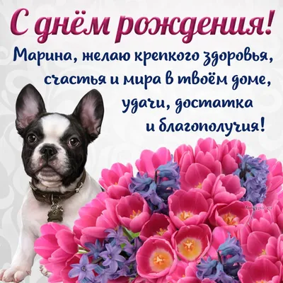 Собака корги: открытки с днем рождения - инстапик | Открытки, Эскизы  открыток, С днем рождения кошки