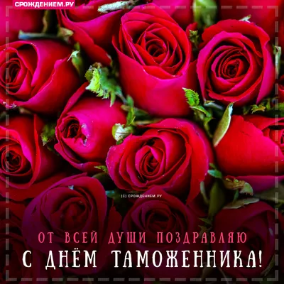 25 октября в России отмечается профессиональный праздник — День таможенника  Российской Федерации | 25.10.2023 | Тольятти - БезФормата