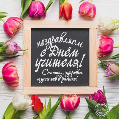 Поздравление с днем учителя - Новости Украины