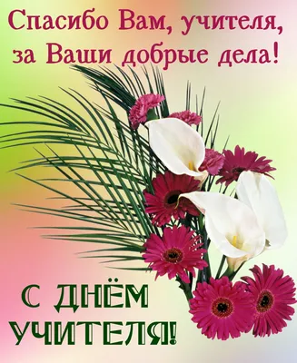 День учителя-2021: красивые поздравления в стихах и картинках |  podrobnosti.ua