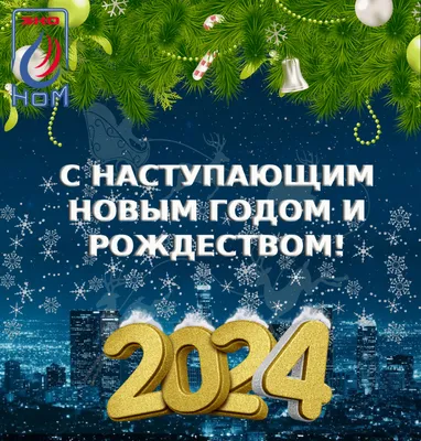 Россельхознадзор-Поздравление руководителя Управления Россельхознадзора с  наступающим Новым 2023 годом и Рождеством Христовым!