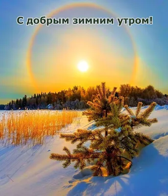 Зимние открытки \"С Добрым Утром!\" (745 шт.)