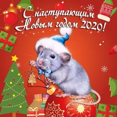 Поздравления с Годом Крысы 2020 | АстроМагия | Дзен