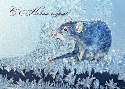 Новый Год 2020 крысы счастливый китайский Красная мышь простой плоский  стиль изолированная на белой предпосылке Иллюстрация векто Иллюстрация  вектора - иллюстрации насчитывающей иллюстрация, плоско: 153295151