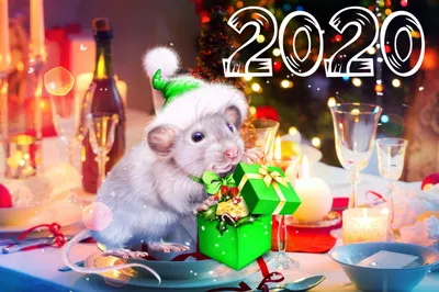 Открытки с Новым Годом мыши. Недорогие открытки на Новый год!