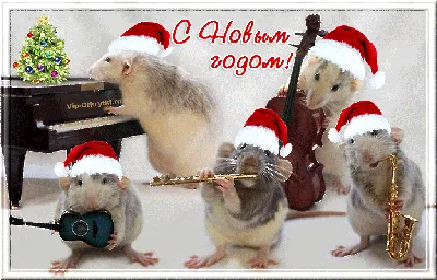 Музыкальное поздравление с Новым годом крысы | Музыкальные Открытки  Бесплатно