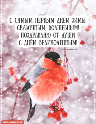 ПОЗДРАВЛЕНИЕ С ПЕРВЫМ ДНЕМ ЗИМЫ. СЧАСТЛИВОГО ДЕКАБРЯ! | Открытки, Зима,  Веселые картинки