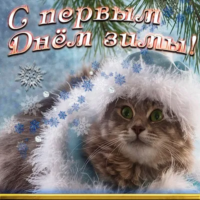 1 Декабря - Первый День зимы | С Сочельником Открытки Поздравления на  Рождество | ВКонтакте