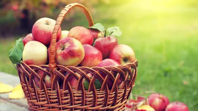 Красивая открытка с яблочным спасом — скачать бесплатно